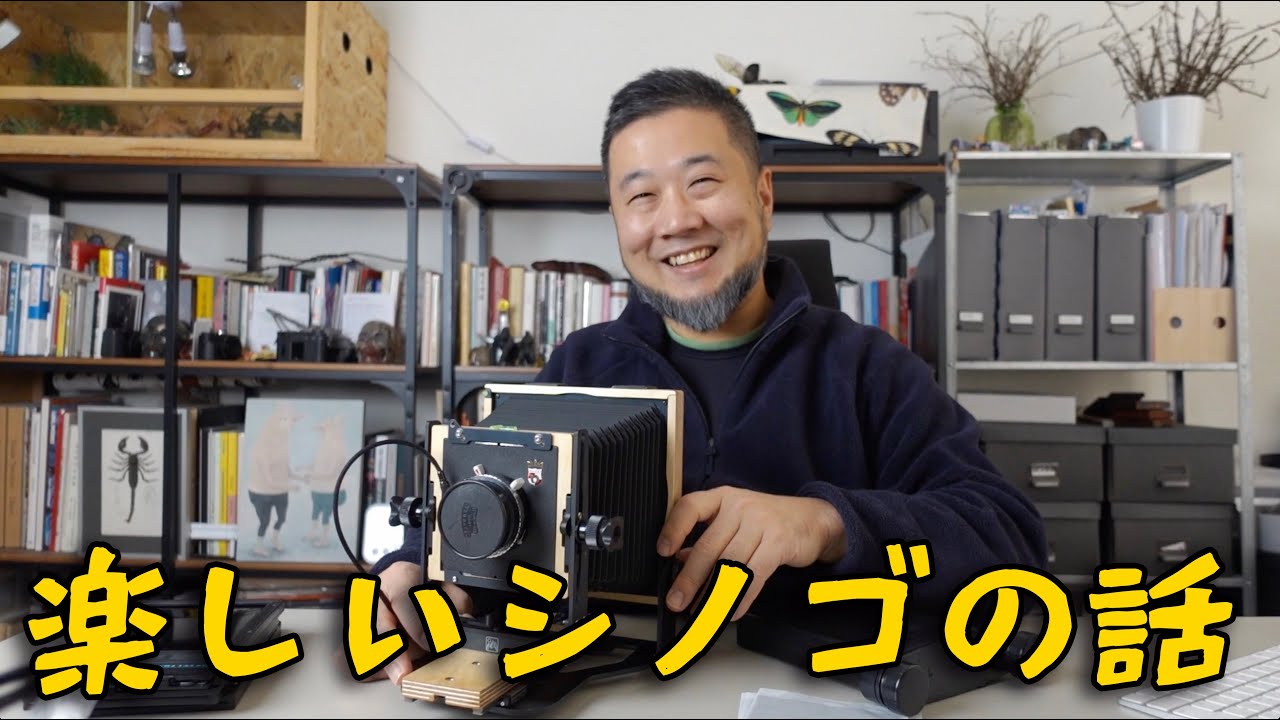 Intrepid 4x5で撮影したよ！ シノゴでの撮り方おさらい、あとナナフシの話。
