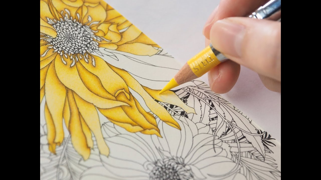 （大人の塗り絵）補色で影を作ってお花を黄色で塗ってみた