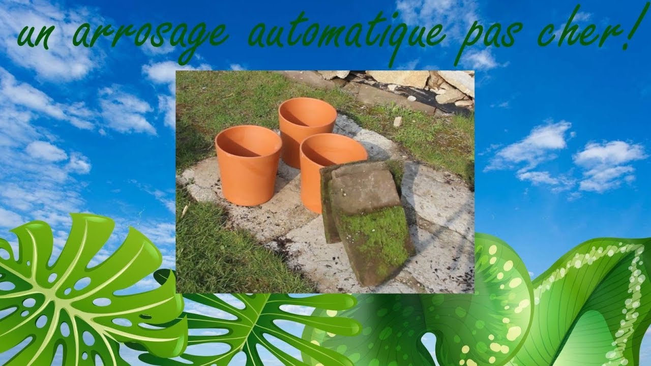 💧  💧  💧 un arrosage automatique pas cher!!!💧💧 💧