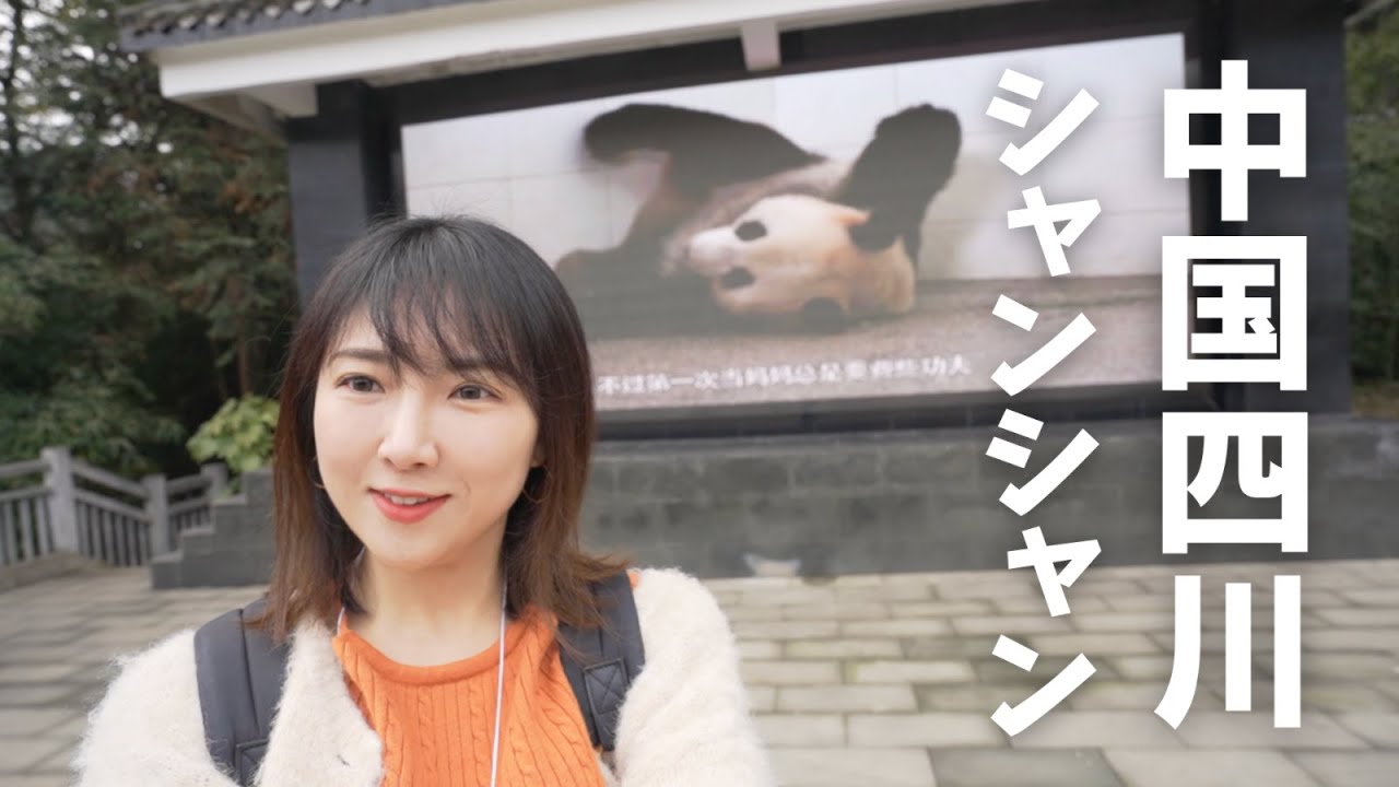 【中国四川】シャンシャンに会いに行った🐼パンダに癒される旅