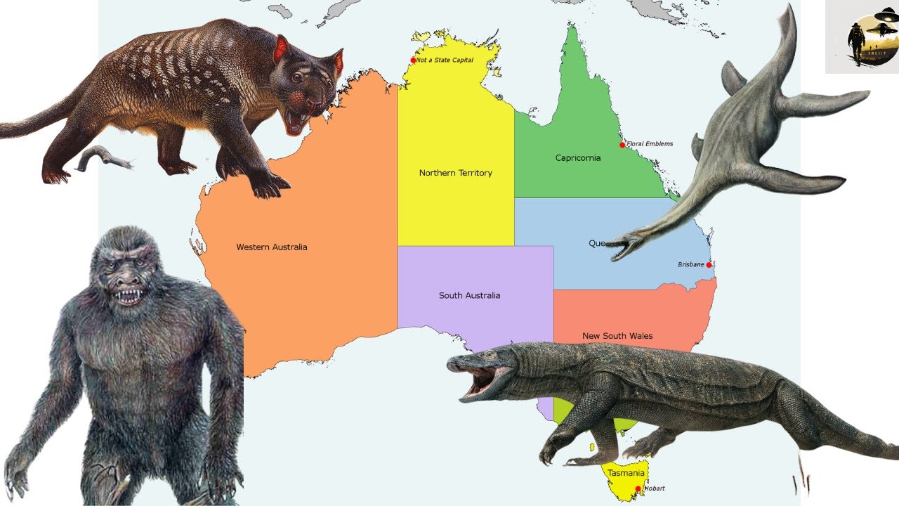 Australian Cryptids of the Outback: From Bunyips to Thylacines