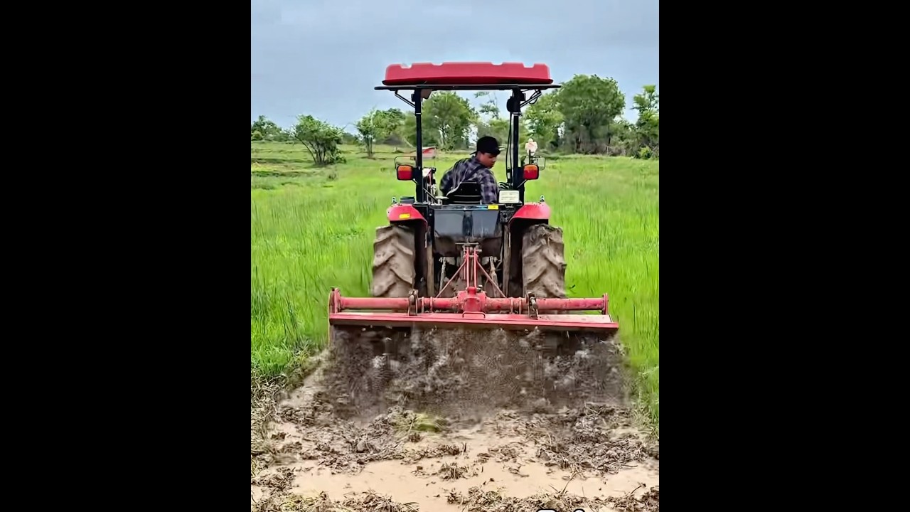 M&aacute;y C&agrave;y Xới Đất &ETH;ỉnh#agrimotor #m&aacute;yc&agrave;ymiềnt&acirc;ytv #tractor