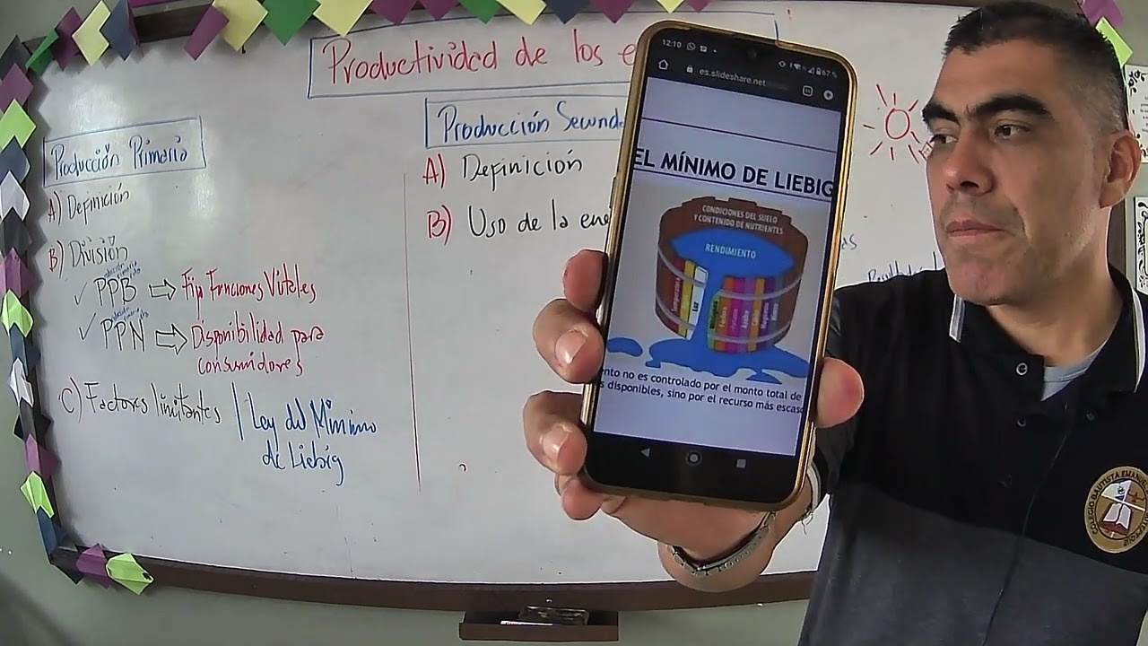 PRODUCTIVIDAD DE LOS ECOSISTEMAS
