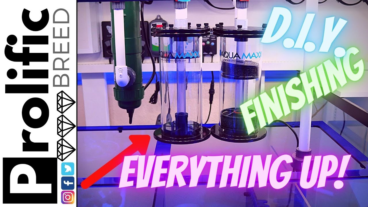 HOW TO HARD PLUMB A REEF TANK | MANIFOLD | FLOATING REACTORS | WATERBOX AQUARIUMS