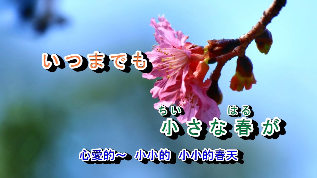 桜みち
