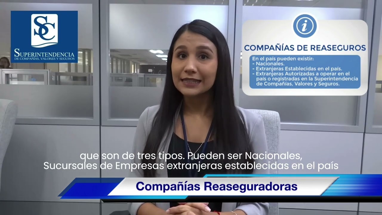 Compa&ntilde;&iacute;as de Seguros y Reaseguros