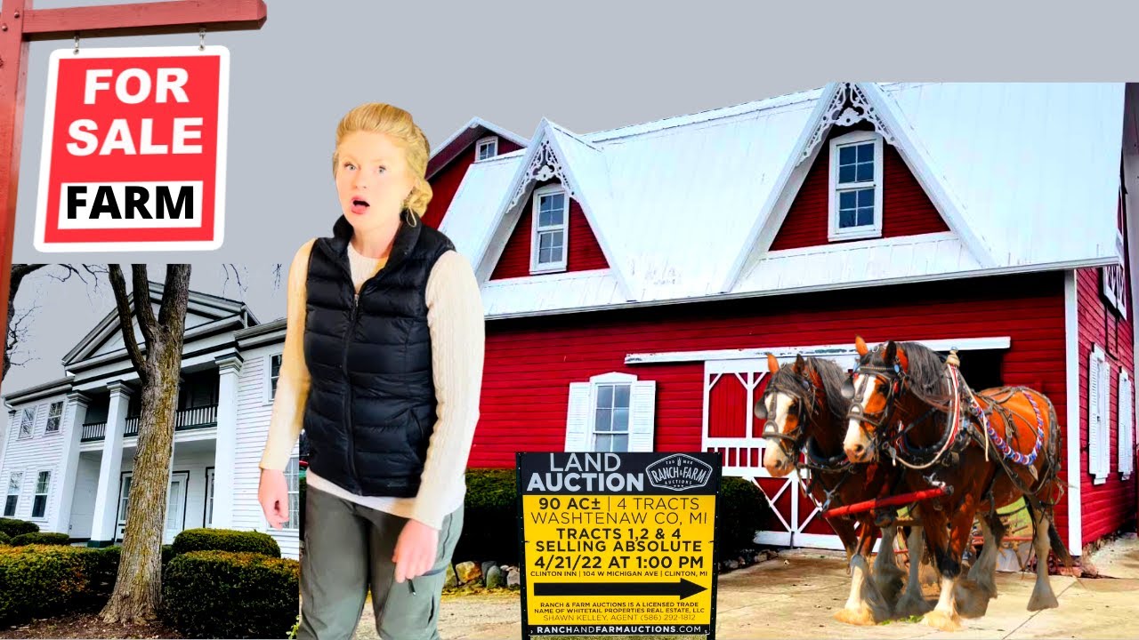 TOURING A HISTORIC CLYDESDALE FARM