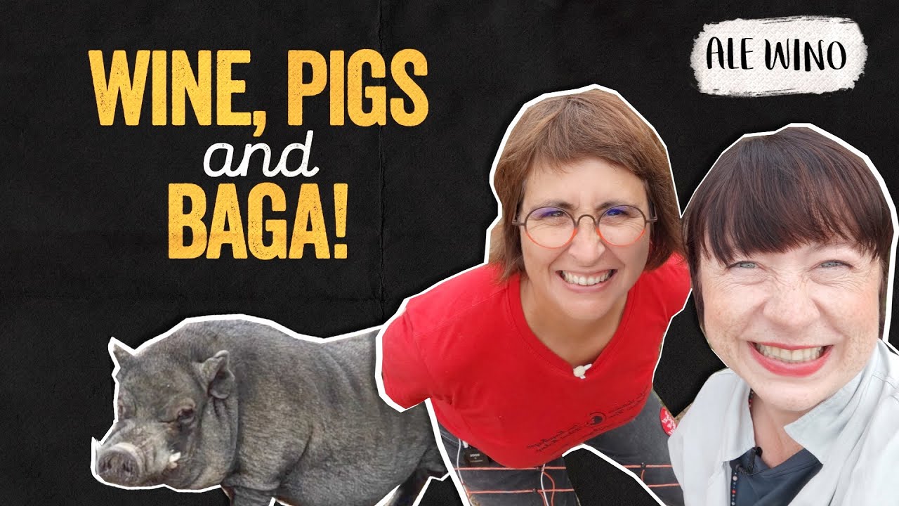 We're visiting Filipa Pato! Wine, pigs and Baga! | Ale Wino