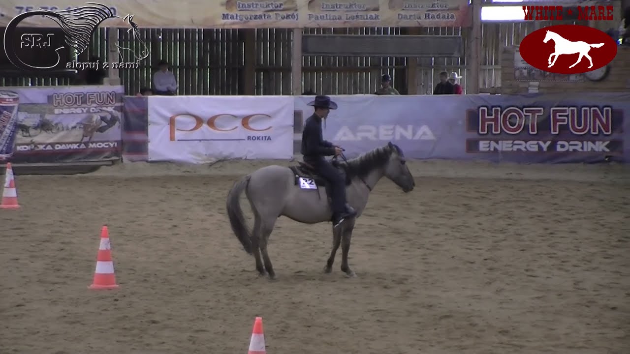 Horsemanship Open - Grzegorz Grodzicki/Ster (konik polski) - przejazd bez ogłowia