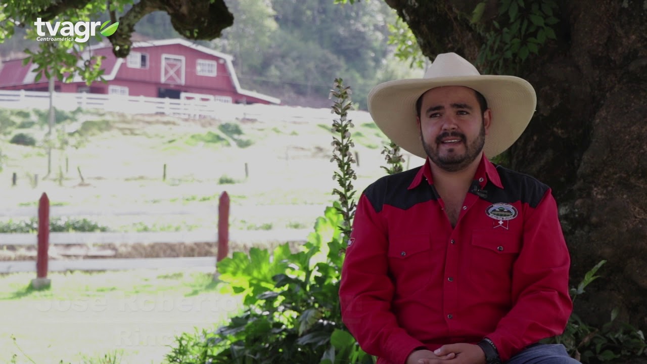Rincon Suizo Farm