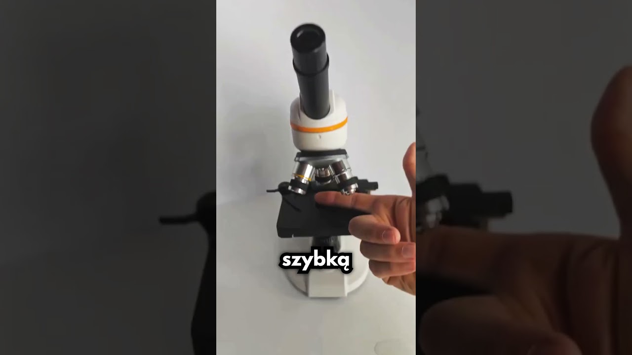 Co Kryje Się Pod Kanapą?!🤯