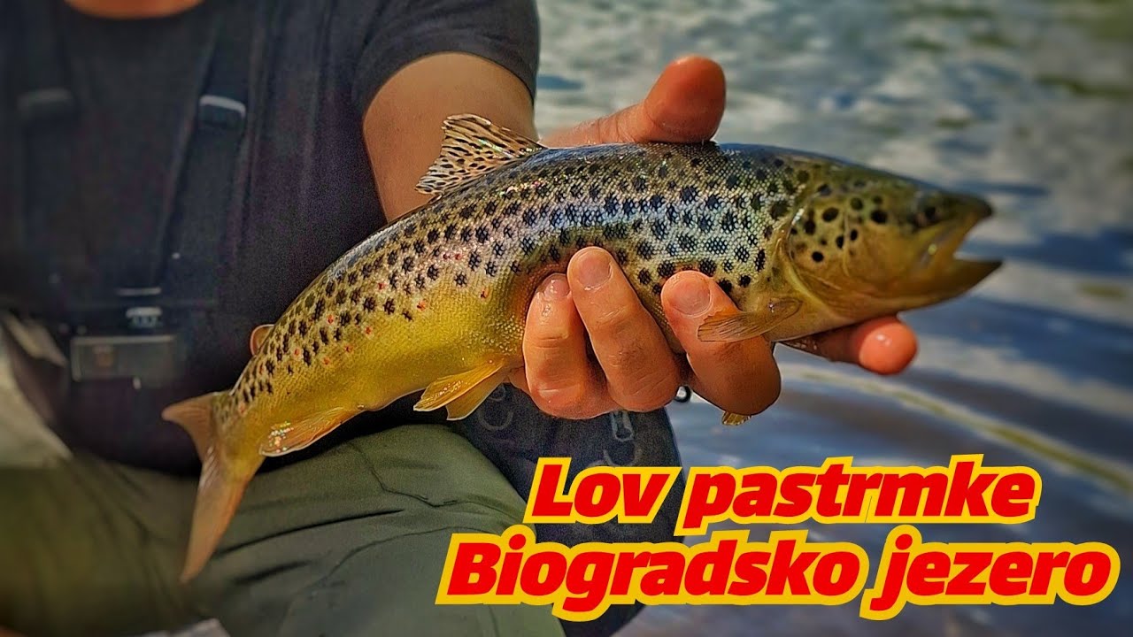 Biogradsko jezero I Varaličarenje pastrmke I Lake Biograd l Trout spining l Crna Gora l Montenegro