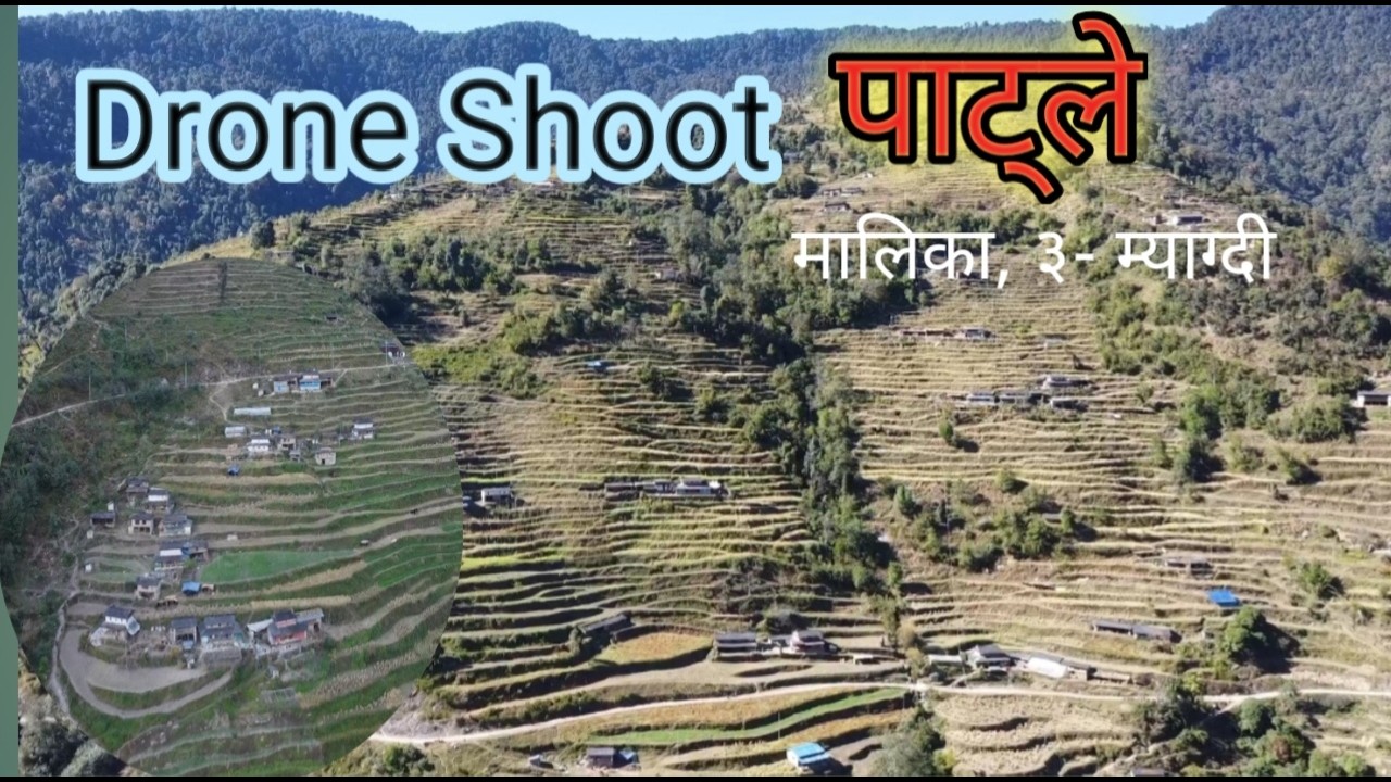 Patle || पात्ले myagdi malika 3