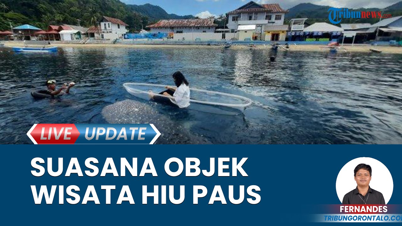 Wisata Estetik Hiu Paus di Bone Bolango Gorontalo saat Lebaran, Wisatawan Rela Tempuh Jarak Jauh