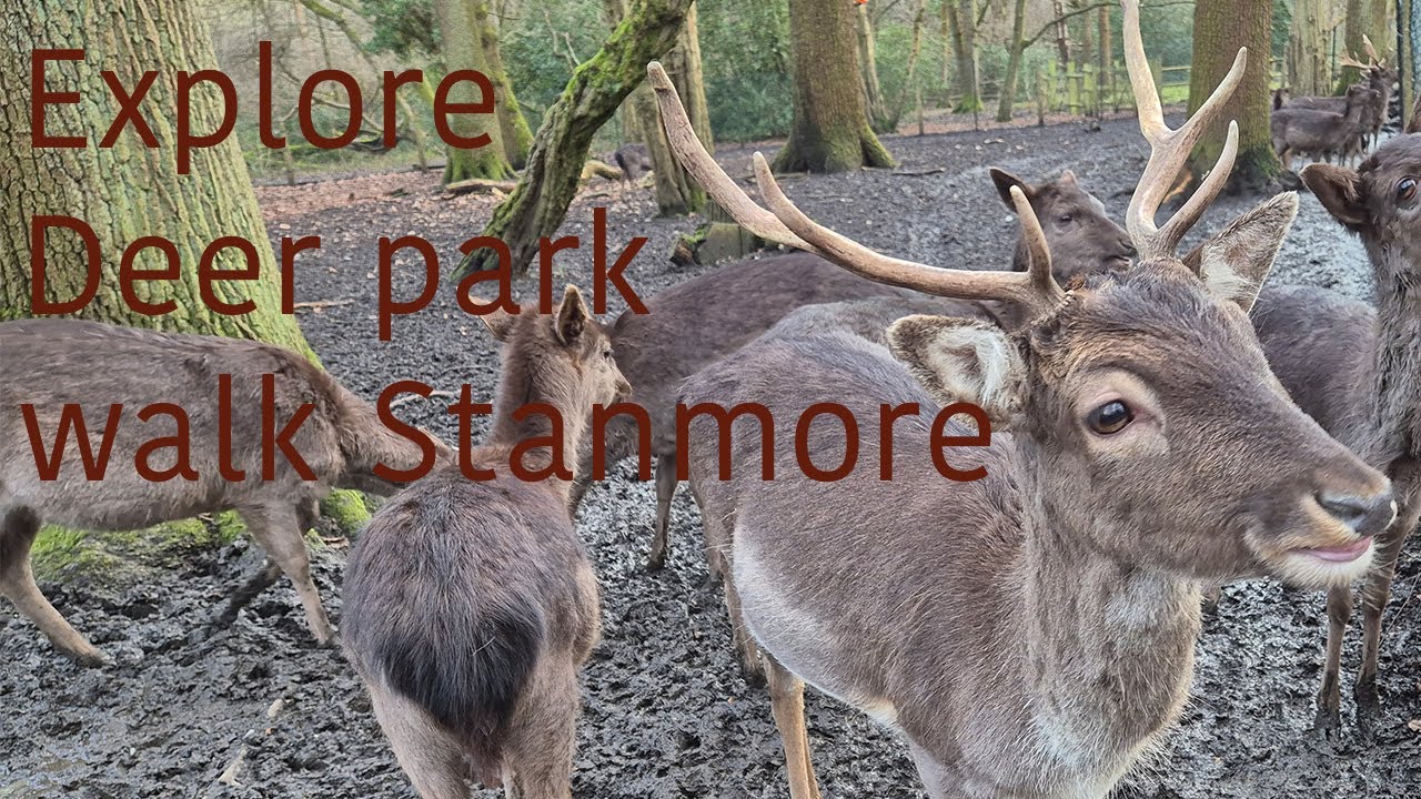 Exploring Deer Park at Stanmore, London with the Kids! 🦌🌳 | Family Fun Day Out | Kids Adventure