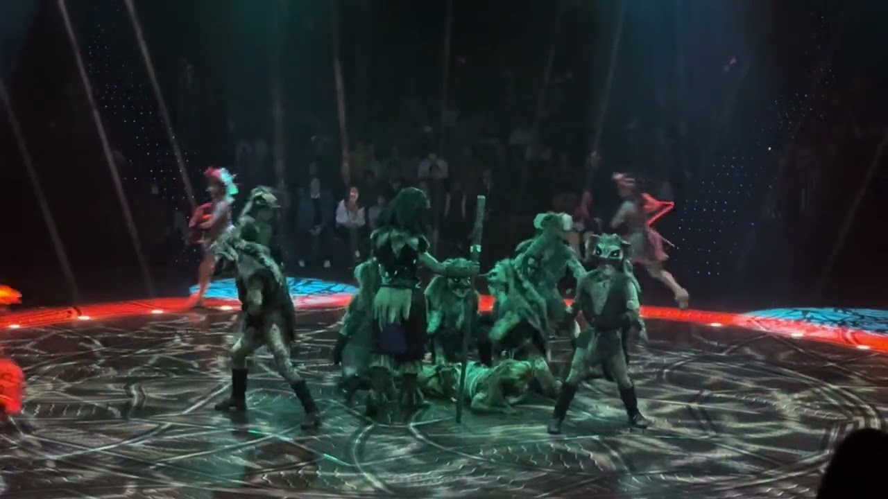 LION KING IRL THE FIREDANCE WITH THE COOL HYENAS