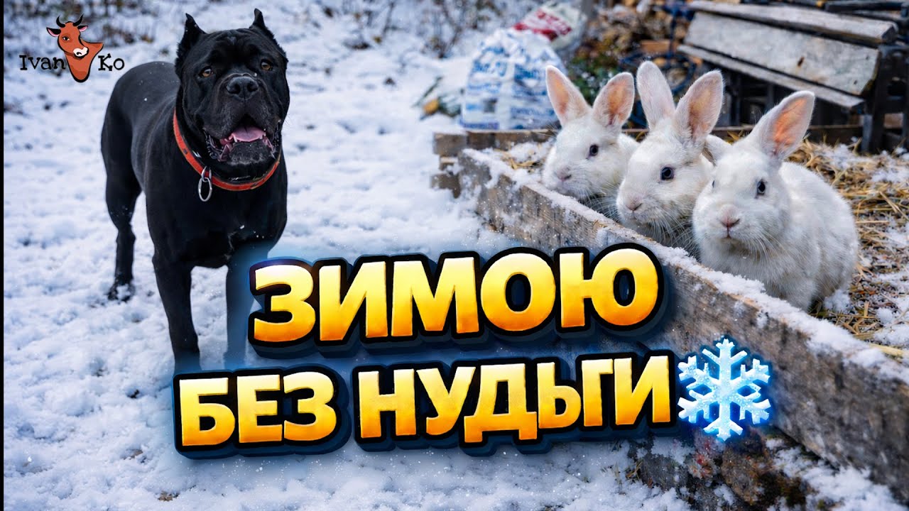 Зимова прогулянка ❄️🐕 Кролі, гриби і саморобний листогин