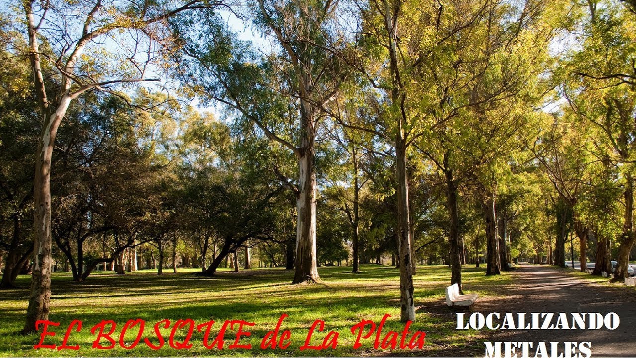 #Buscando en El Bosque de La Plata Parte I
