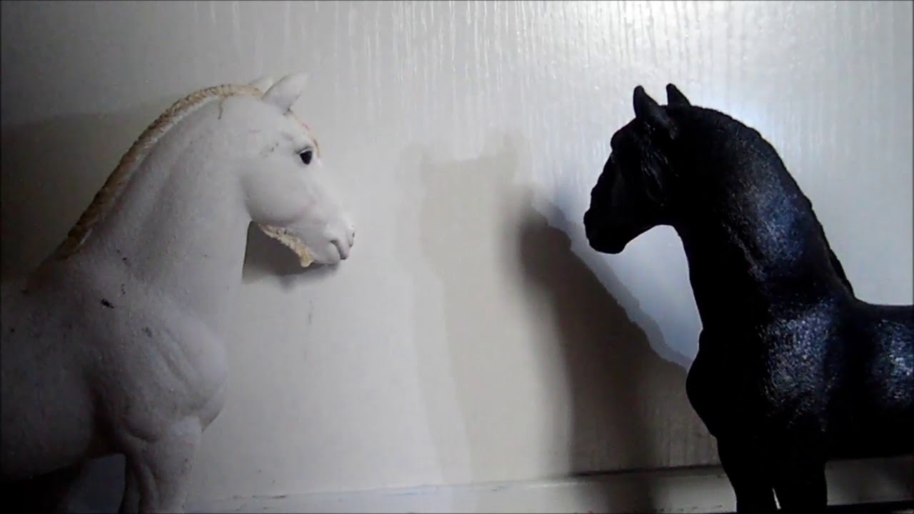 Clip schleich Triste Erreur du passé