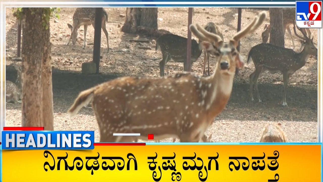 TV9 Kannada Headlines At 8AM (22-01-2026)