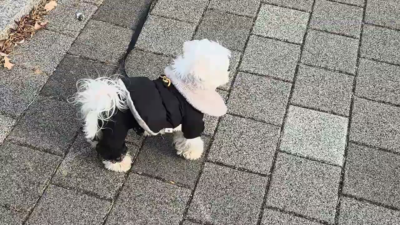 친구들 못만나서 슬퍼요~