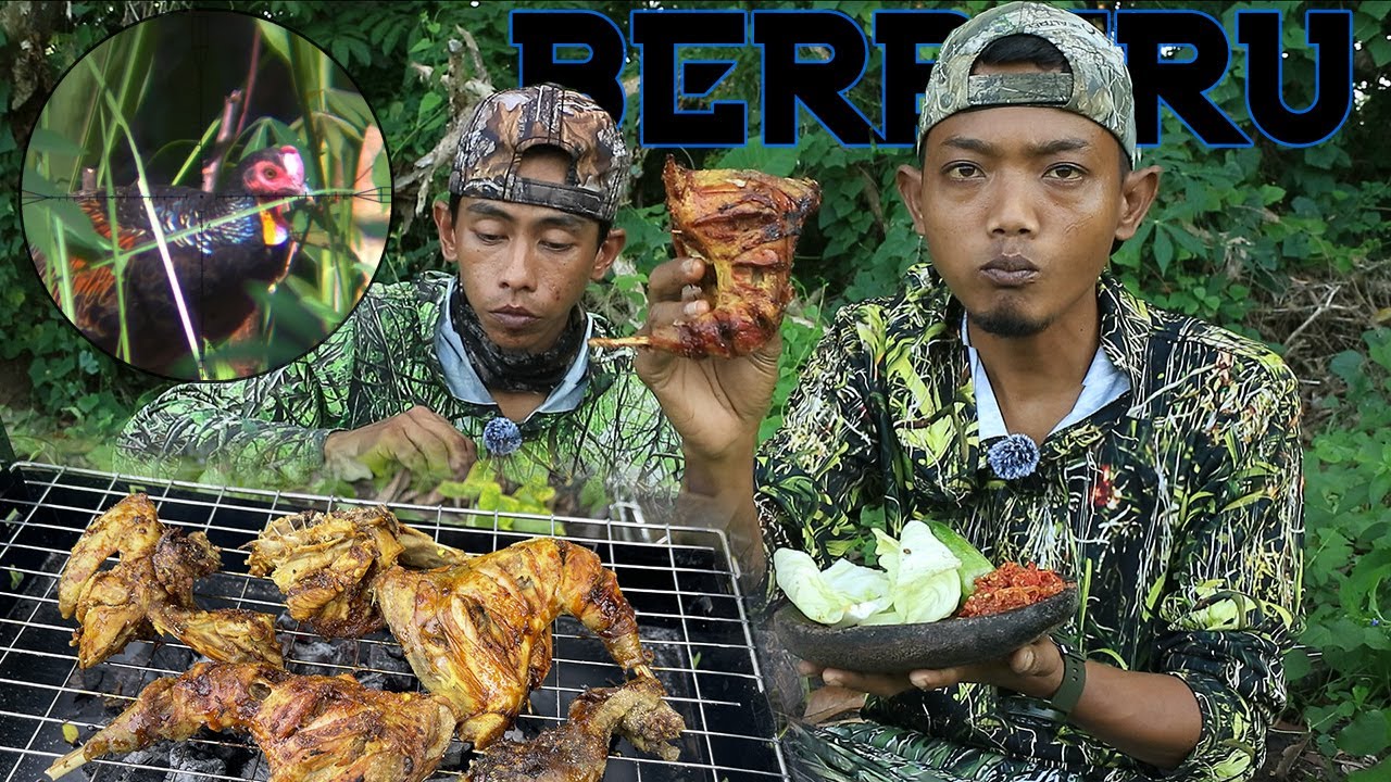JAKPOT AYAM LAGI SAAT BERBURU TUPAI ‼️