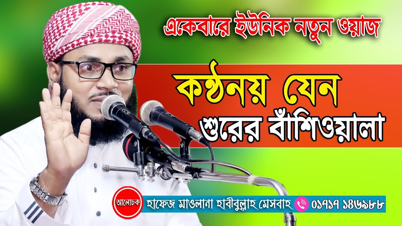 তওবার অবাক করা ফজিলত | New Islamic Bangla Waz Mahfil Video By Hafez Maulana Habibullah Mesbah