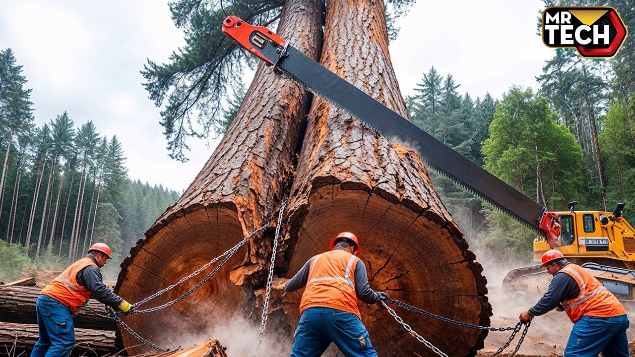 Extreme Dangerous Fastest Big Chainsaw Cutting Tree Machines | Monster Stump Removal Excavator #4