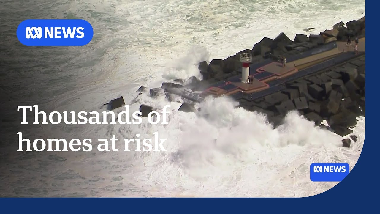 Tens of thousands of homes at risk from Cyclone Alfred storm surge and flooding | ABC News