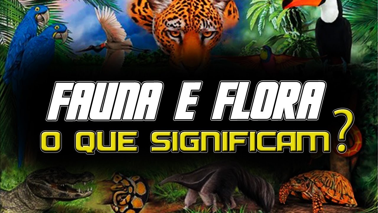 Fauna e flora: a import&acirc;ncia desses elementos para o equil&iacute;brio ecol&oacute;gico