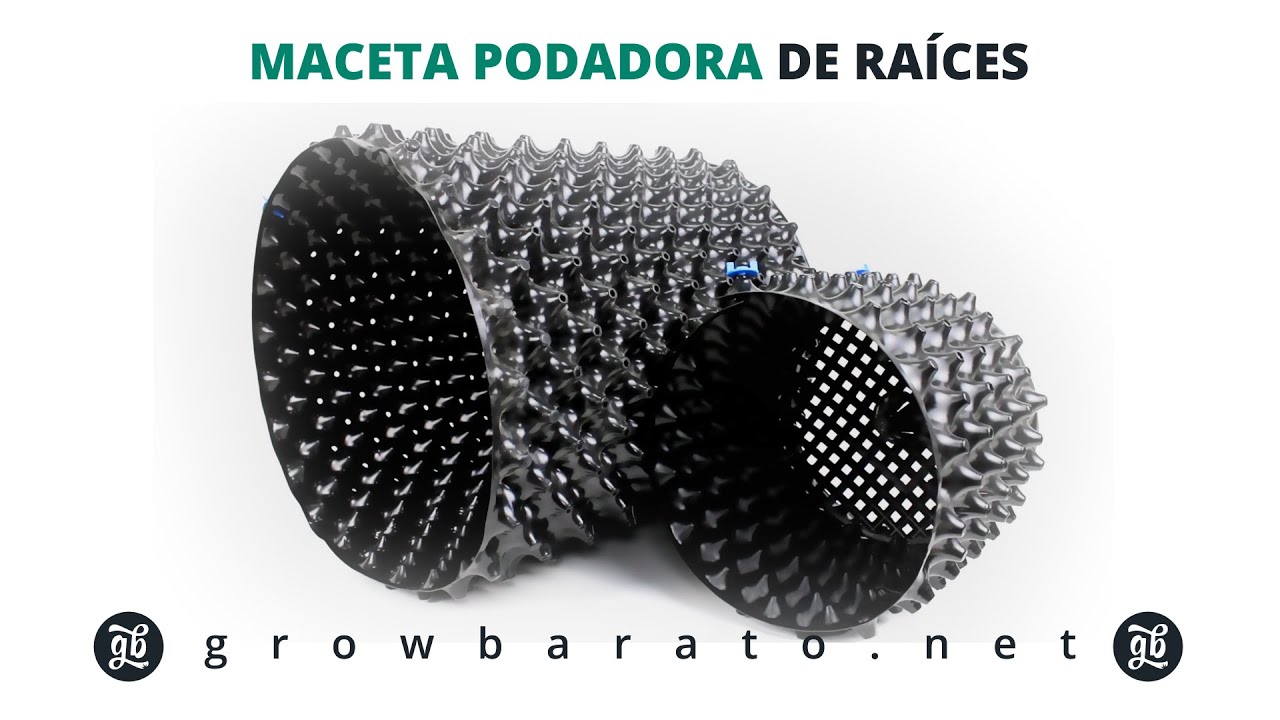 Maceta Podadora de Ra&iacute;ces | Growbarato - GB The Green Brand