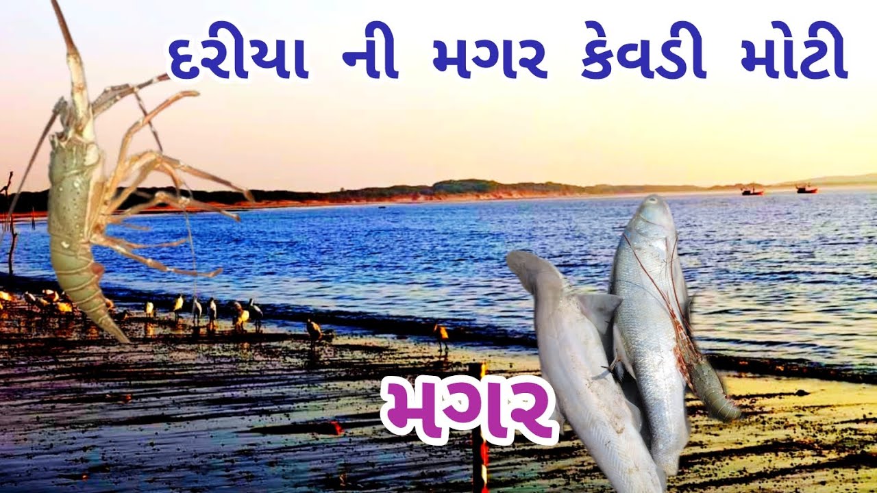 દરીયા માં મગર જોવા ગયા ll રાત્રે દરીયા માં ગયા જીગા🦐 જોવા ll llLifestyle vlogs llgujrati