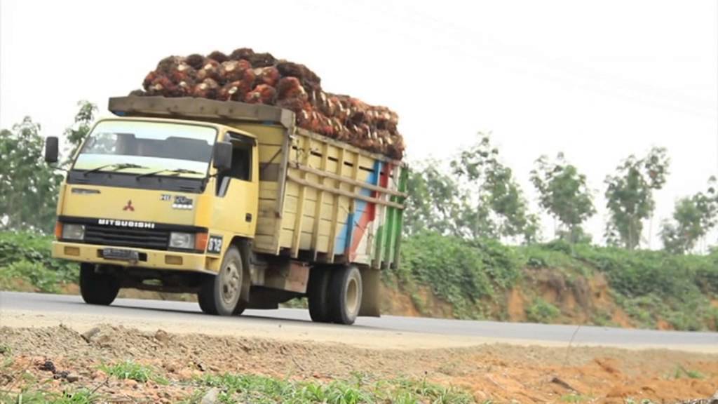 Selayang Pandang Kabupaten Labuhanbatu Selatan