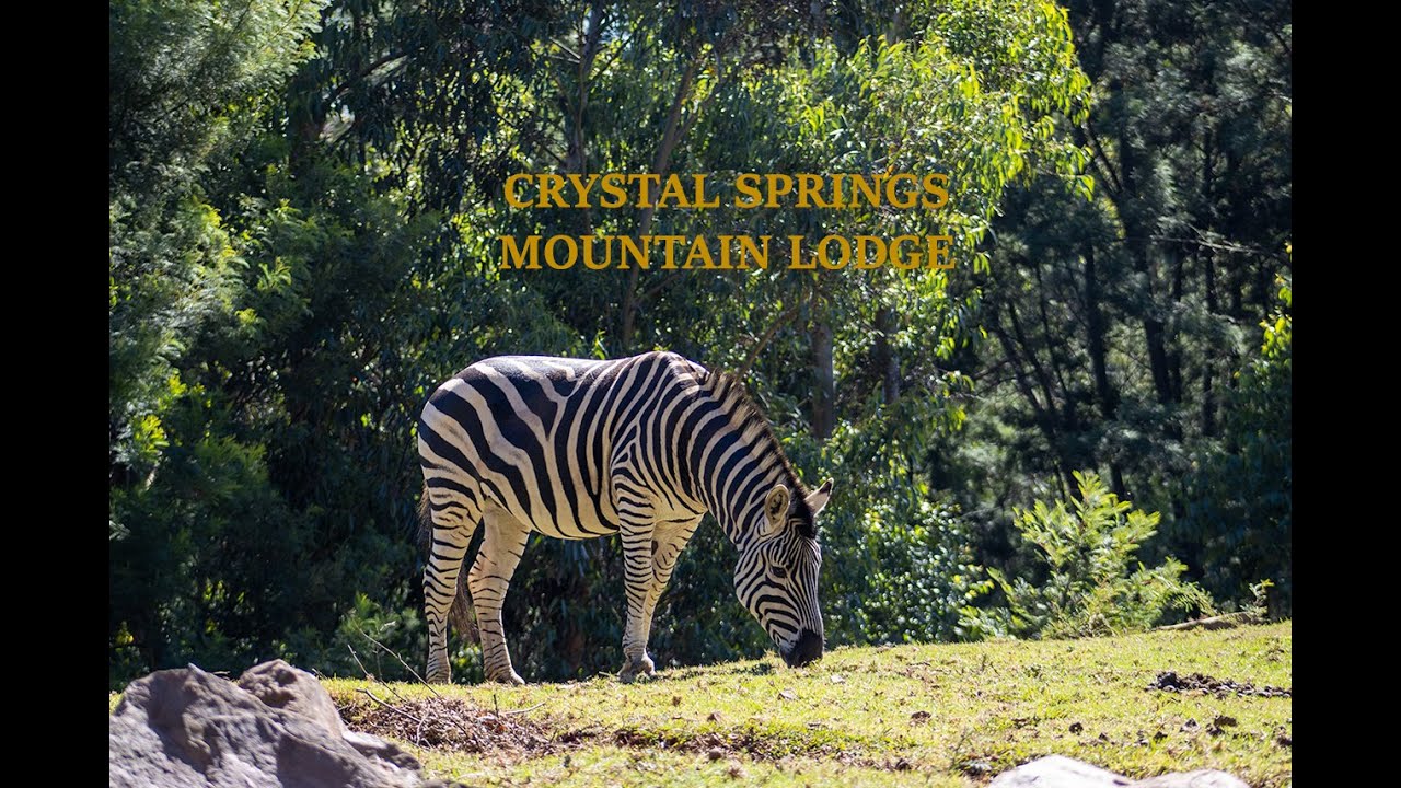 I Stayed at CRYSTAL SPRINGS MOUNTAIN  LODGE // Vlog 1