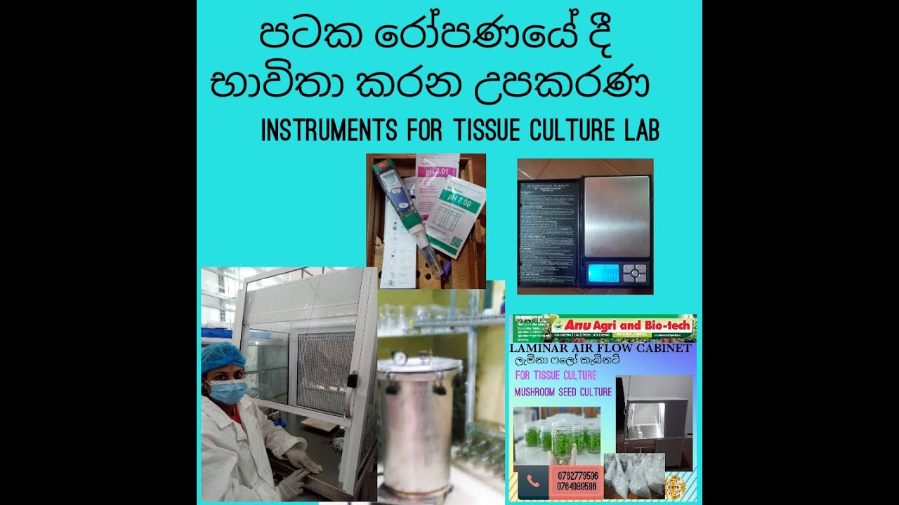 පටක රෝපණයේ දී භාවිතා කරන උපකරණ  Equipment for plant tissue culture .