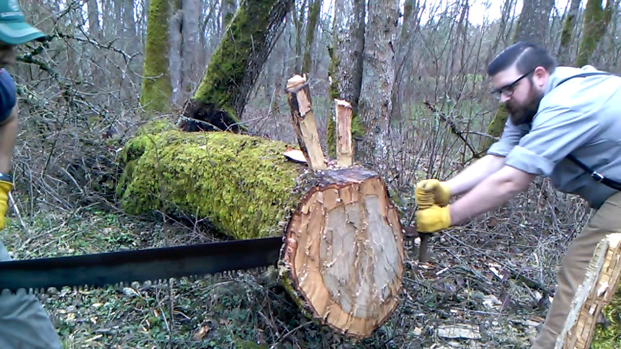 Two Man Crosscut Saw