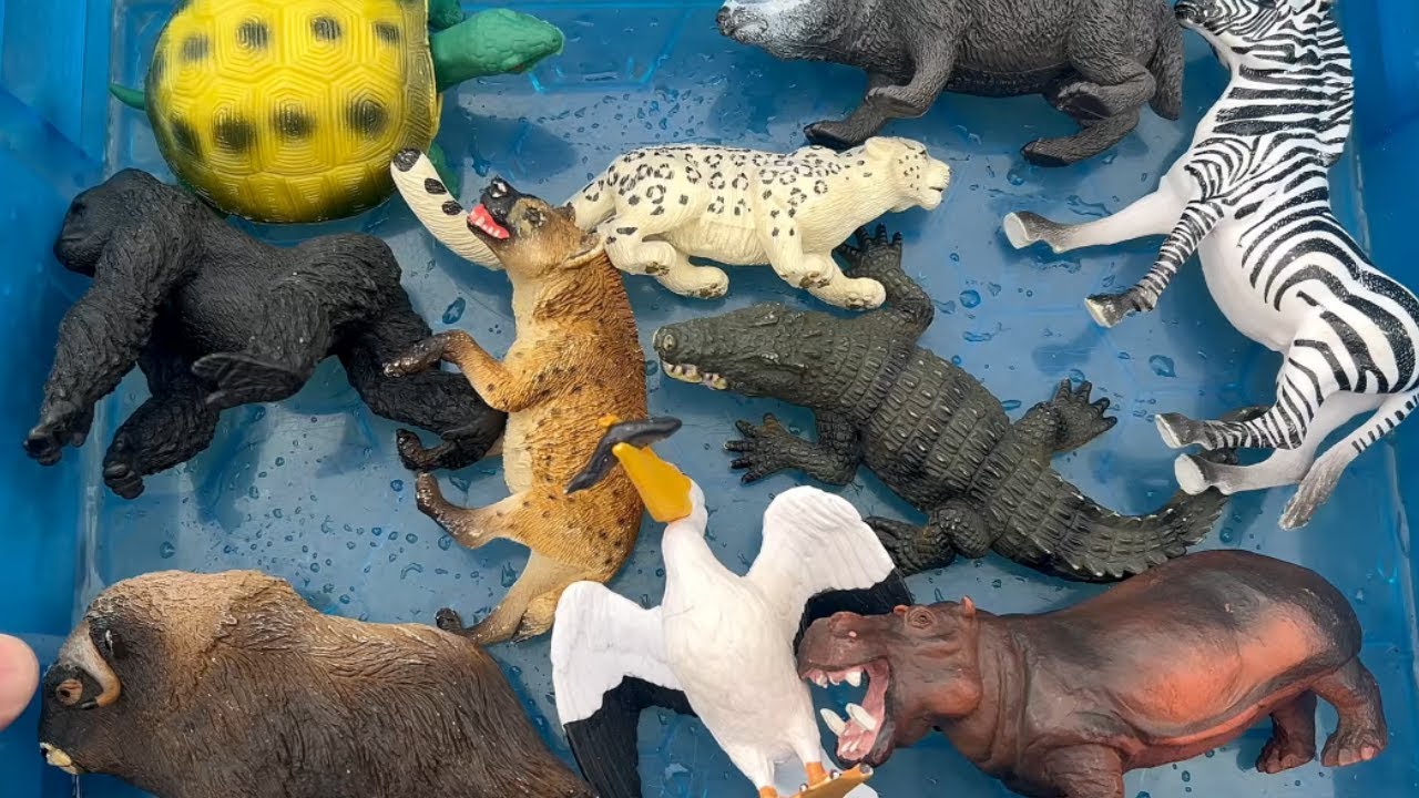 Игрушечные животные в воде и яркие птицы в зоопарке