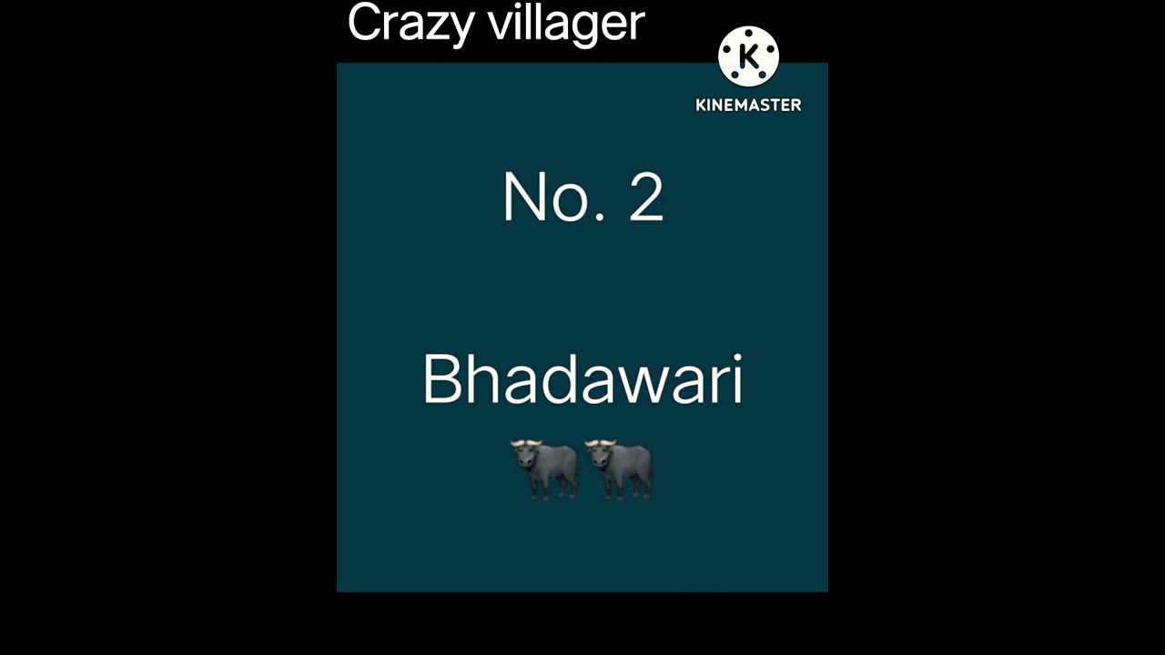 top 5 Buffalo breed's in india 🐃🐃🐃🐃.             #buffalo #animallover
