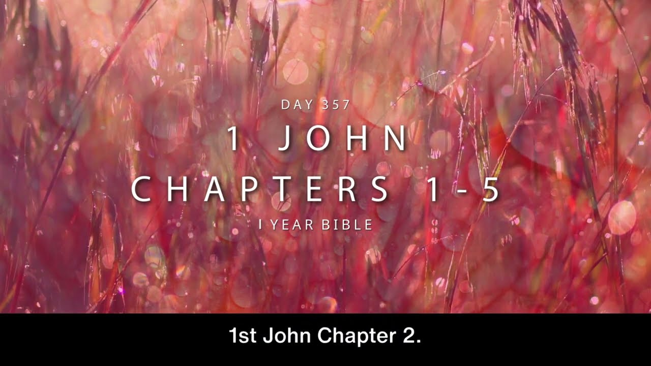 One Year Bible Day 357 | 1 John 1-5 | NIV Audio Bible