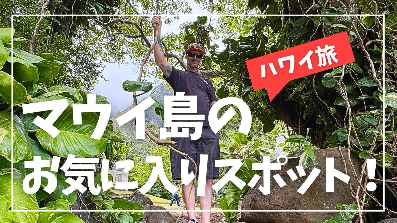 マウイ島のお気に入りスポット！マウイの景色、自然の音に癒されてください🌿