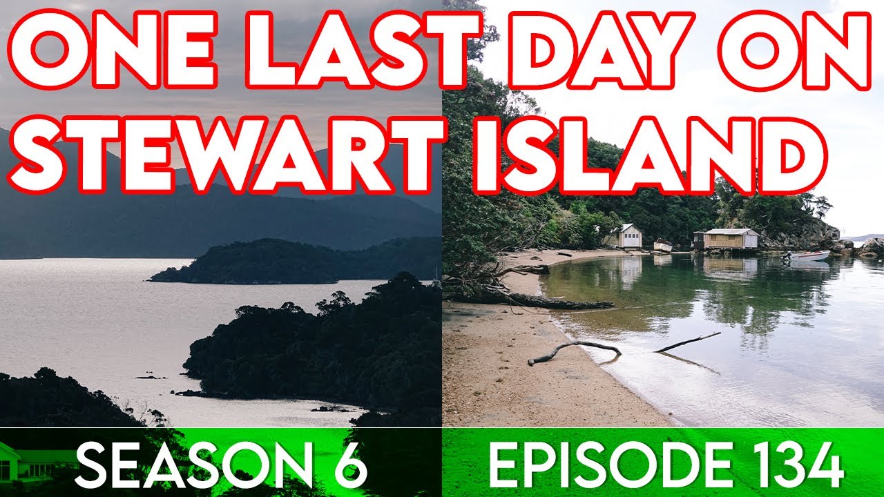 Final day on Stewart island, Then back to the South Island NZ!