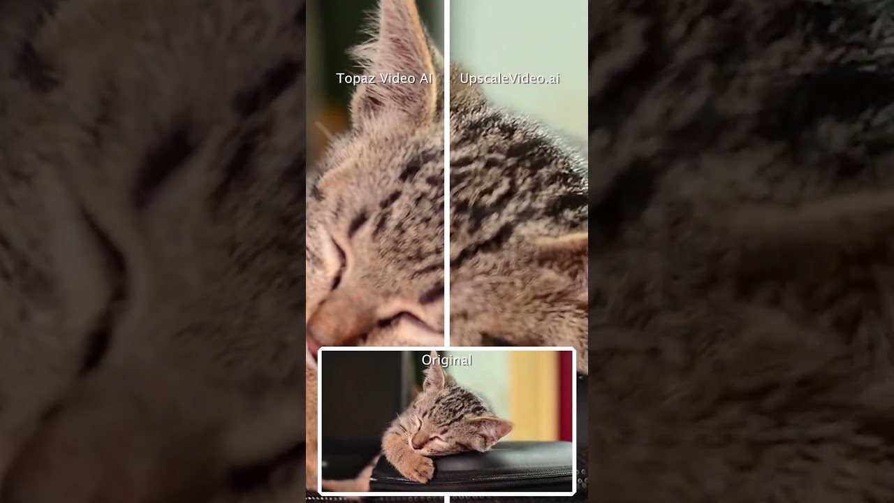 Topaz Video AI 6.0.3 vs UpscaleVideo.ai 1.11 - 2x super resolution, de-noise, sharpen #vfx