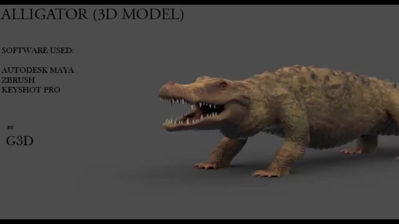 Zbrush and Maya Crocodile /aligator 3d modeling and sculpting Tutorial | SpeedArt 02