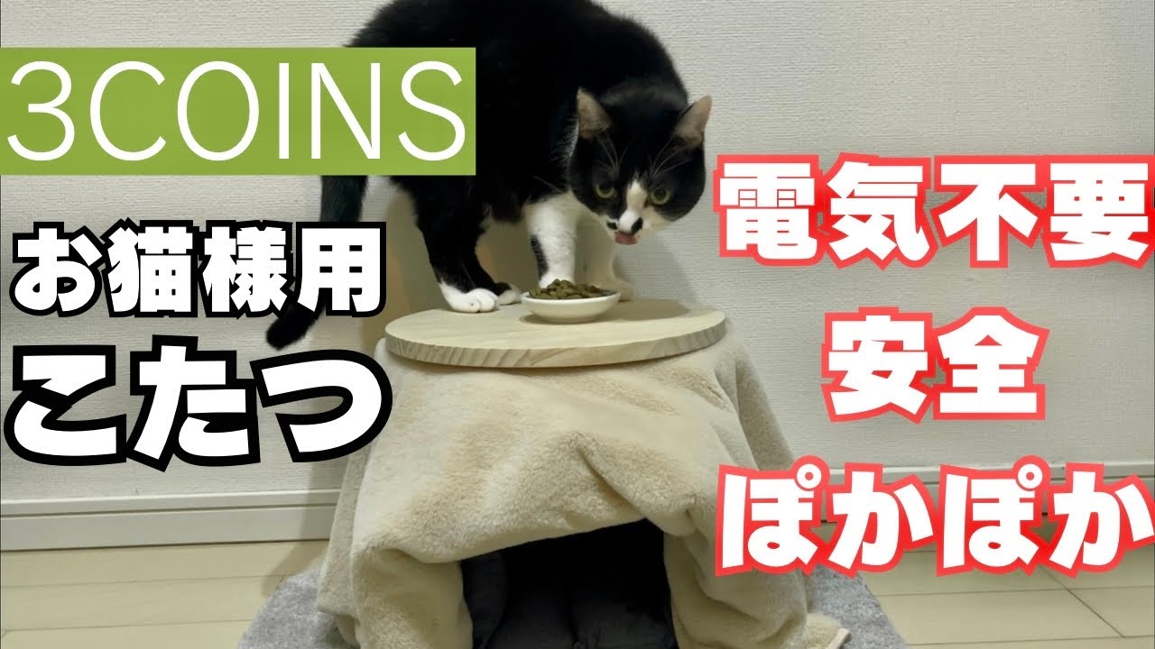 外出時も安心安全、かわいい猫用こたつ！【3COINS】