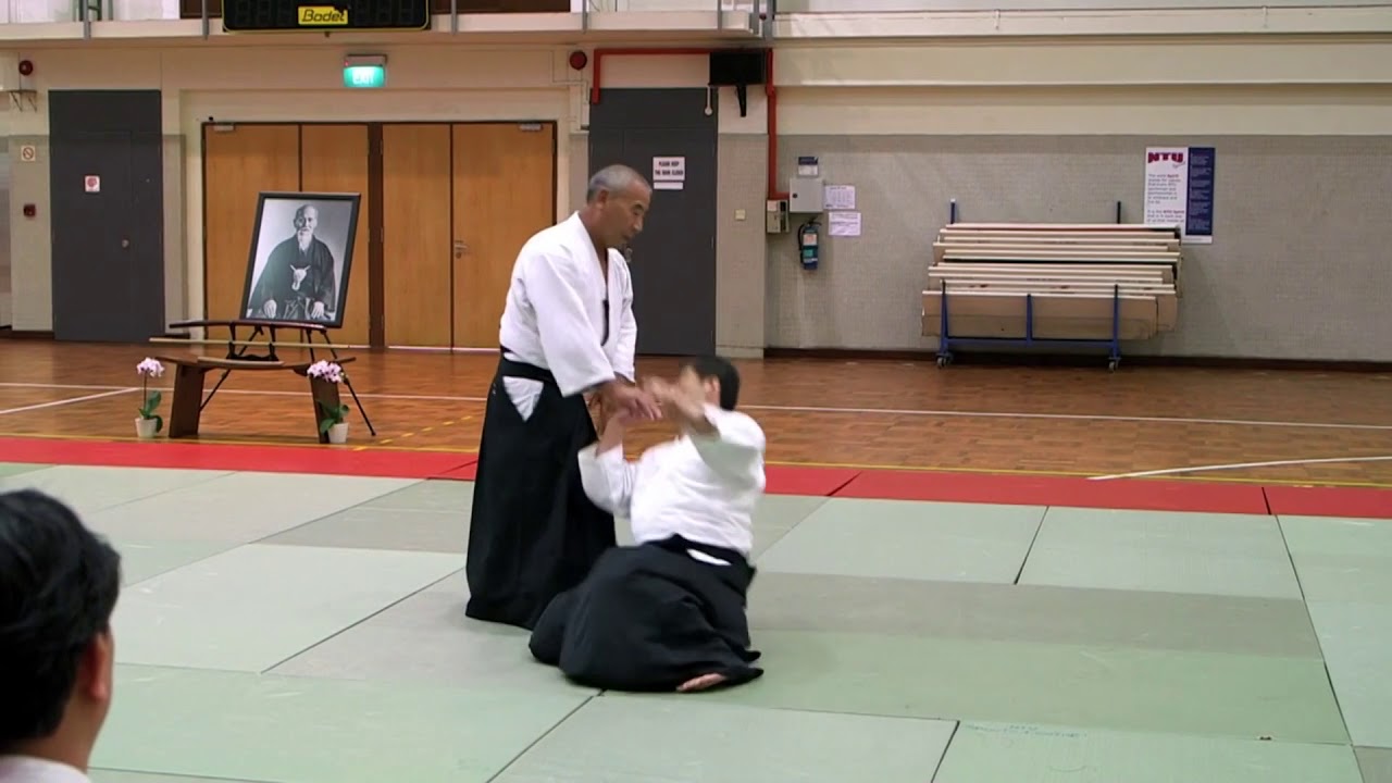 Aikido (合気道) beautiful demonstration of Sensei Takeshi Yamashima  7th Dan