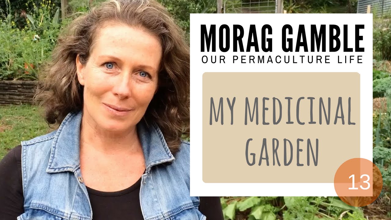 7 суперфудов для вкусного средства от простуды &mdash; Morag Gamble