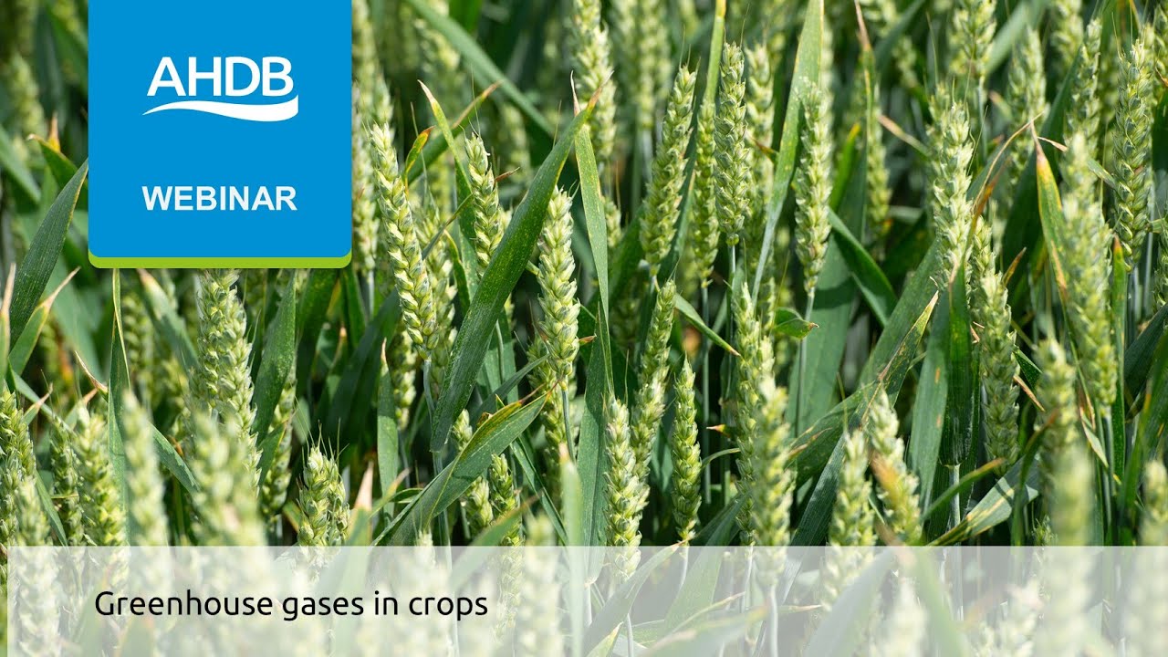 GHG in arable and horticultural crops