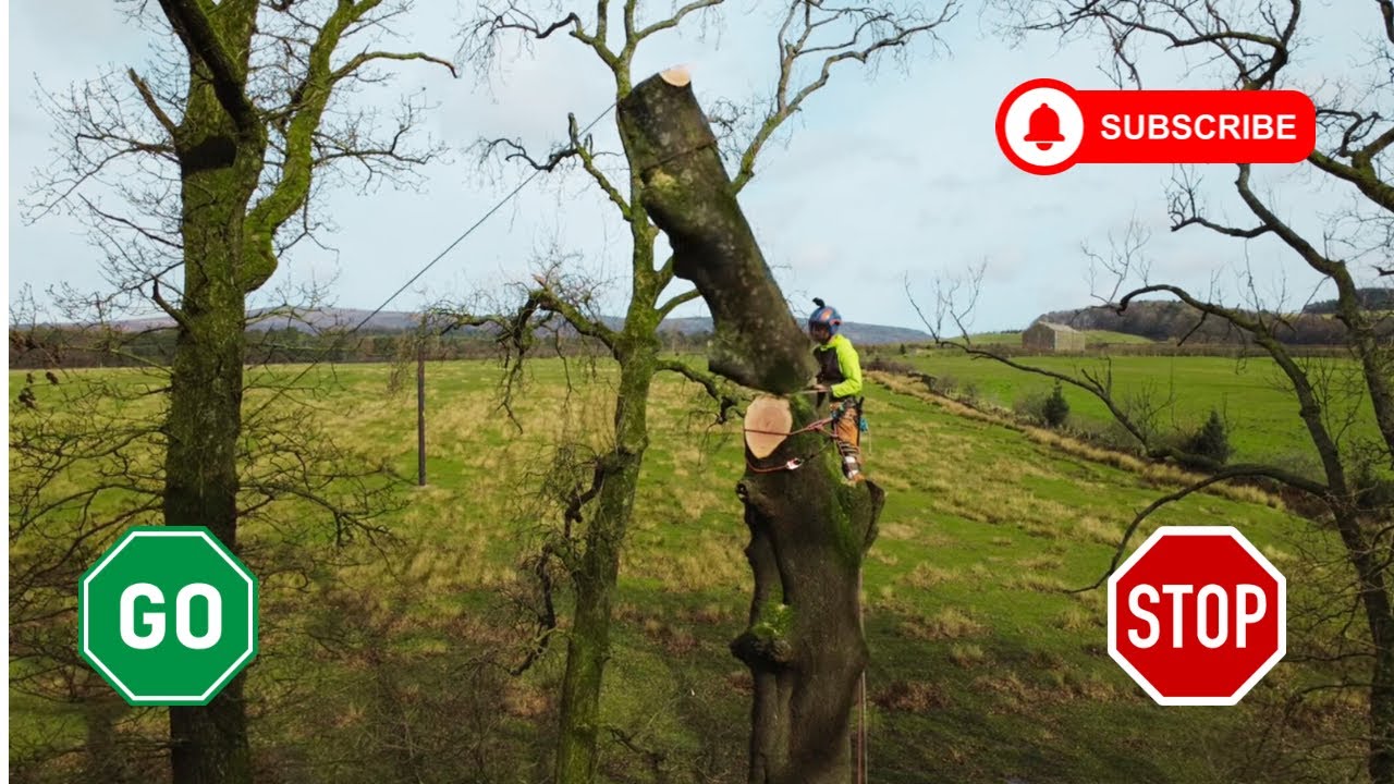Roadside Tree Work | Rural roads