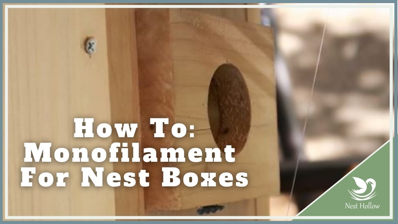 How to Put Monofilament Line On Your Nest Box/Birdhouse (Fishing Line)