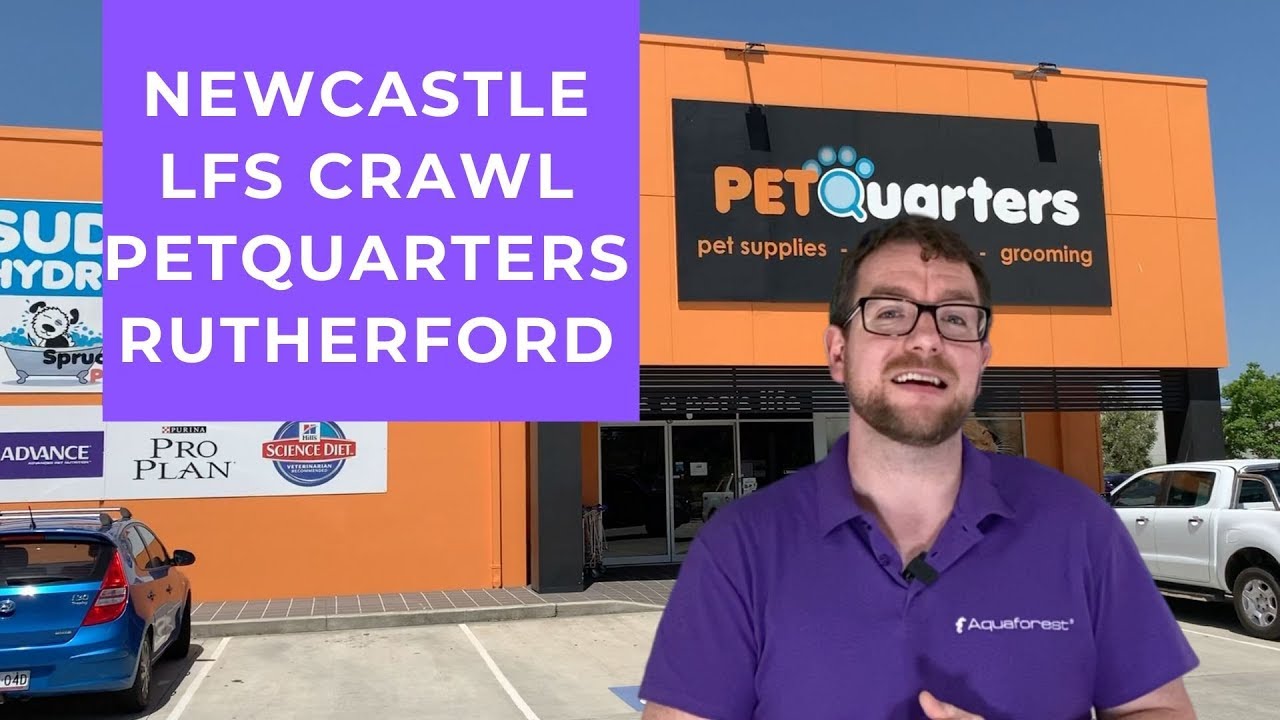 PetQuarters Rutherford - Newcastle LFS Crawl